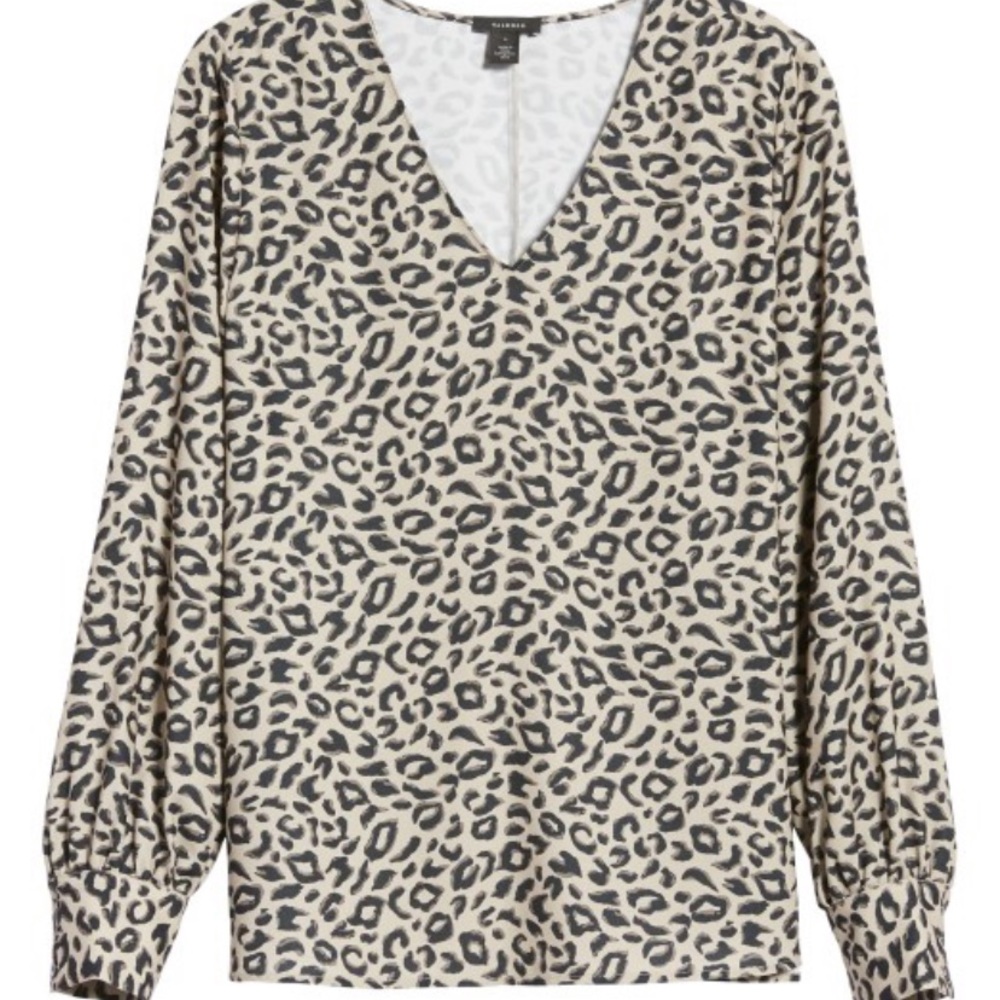 Halogen V-Neck Blouse